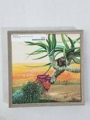 Greenbox Art Savannah White Rustic Framed Canvas Home Decor Wall Hanging 6×6