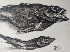 Fish Graphics Painting Original Art Expression Paper Ink Pen 7.4 x 10.6 in
