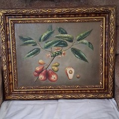 Framed Still Life Fruit Painting Leaves Marked 2040A Food & Drink Nature Theme