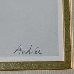 Signed Lithograph Andree Framed 19.5″ x 17.5″ Girl Ballerina COA Pink Wht Beige