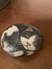 Hand Painted Cat On Rock Stone Art Paperweight River Rock Artist Signed
