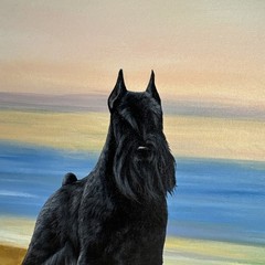 Black Miniature Schnauzer Painting by Connie Krohn 14″x11″x1.5″ Acrylic/Canvas