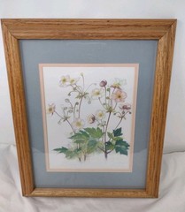 Mads Stage Original Watercolor Signed Japanese Anemones