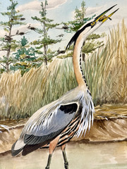 Rex Brasher Original Bird Art Painting – Great Blue Heron & Bittern, Signed