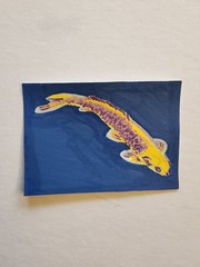 ACEO Original Abstract Acrylic Painting of a Koi Fish by Kiva