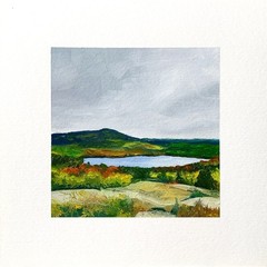 8×8 Maine Original Oil Painting Cadillac Mountain Acadia New England Art Signed