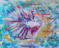 Original Art Siamese Fighting Tropical Ocean Fish Watercolor on Yupo Paper COA