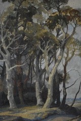 GUM TREES OF THE AUSTRALIAN OUTBACK OIL PAINTING JOHN WILSON c1970s