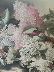Large Antique Oil Painting of Pink and White Lilacs 1890s Framed