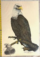 James D Joyner Original Signed Bald Eagle Patriotic Art 1989 25.5×18 July 4 Gift