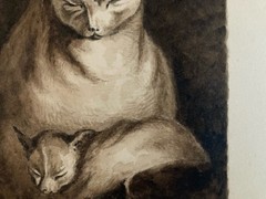 Drawing Painting Wash Ink On Paper 19th Century 1850 Cat Animal Animals Old