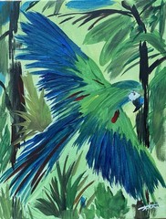 Flying Parrot Original Acrylic Painting On Canvas Signed Unframed 11”x14”