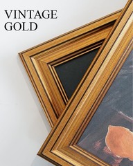 Vintage Gold Framed Wall Art, Sketch Birds Canvas Painting, Cute but Exquisit…
