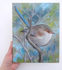 Original Oil Painting Bird Blue Fairy Wren Animal Art Canvas 8×10 Signed Artist