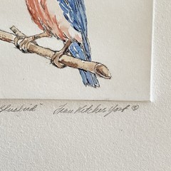 Original Eastern Bluebird Bird Watercolor Painting Fran Ritchie Yost