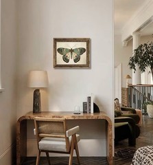 Vintage Butterfly Canvas Art 9×11 Gold Framed Victorian Cottagecore Wall Decor