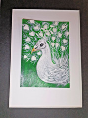 ACEO original white rare peacock bird painting 2.5×3.5 by Jayne