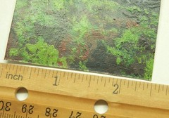 Original ACEO Landscape ART Tree