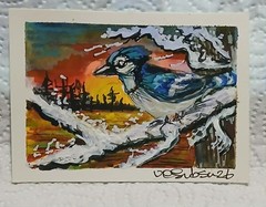 ACEO OOAK Impressionist Watercolor Scribble – Blue Jay at Sunset in Snowy Tree –
