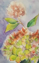 Original Watercolor Painting Flowers Hydrangea Wall Art Hand Made Painted
