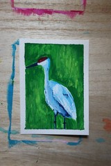 ACEO original art bird nature green outdoor wildlif painting „Sandhill Crane #3“