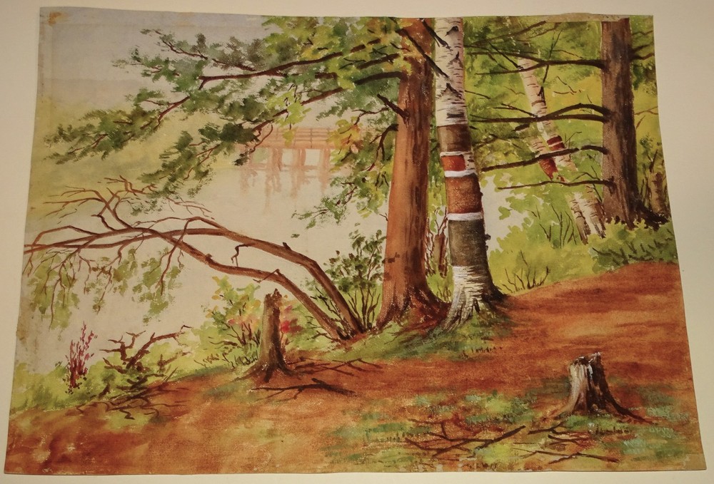 Watercolor Painting – tranquil forest clearing or path, white birch tree