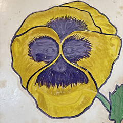 Thomas F Goff Vintage Pansy Human Face Flower Art Painting 17″x 13.75″ Cardboard