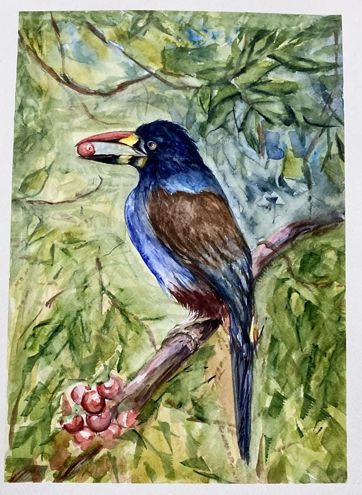 Tropical Bird and Berries Watercolor Original Painting