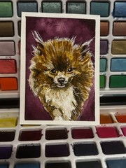 ACEO Original, CUSTOM PET PORTRAIT, COMMISSION, Mini Art Painting, jen_kmorgan