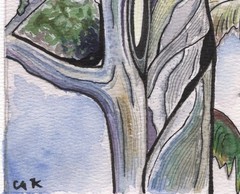Original Watercolor Painting Signed, Tropical Rainbow Eucalyptus Tree 8×10 Inch