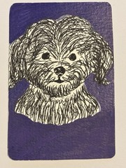 Original ACEO Acrylic Art, Shaggy Puppy, 2×5 X 3.5 Mini Art Signed By Artist