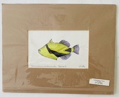 Hawaiian State Fish Painting Handpainted by Liko 8×10″ Watercolor Triggerfish