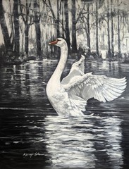 Original black and white painting of a white swan with reflections on a river.