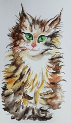 Original tabby,orange maine coon cat art painting,pet portrait lover best gift