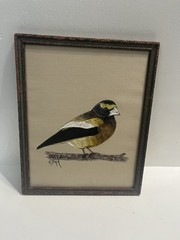 – 8 X 10 Evening Grosbeak Song Bird Original Painting Framed See Story Below