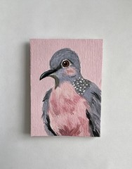 ACEO Spotted Dove Bird Original Hand Painted Acrylic Mini Tiny Artwork Painting