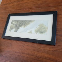 Randy Wood Watercolor Tree Sky Painting Framed 2005 Seattle Washington 22×12 in