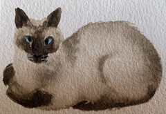 Three Mini Siamese Cat paintings Original Watercolor sleeping pet triptych trio