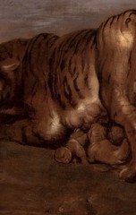 17th Century Flemish Old Master Tiger and Cubs – PETER PAUL RUBENS (1577-1640)