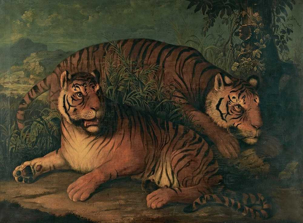 stunning oil painting handpainted on canvas- Tigers