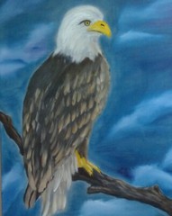 American Bald Eagle Colorful Original Signed Oil Painting 18×24 Inches