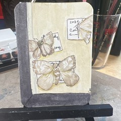 ACEO/ATC Original Painting 2.5 x 3.5 In., Watercolor Moth Lepidoptera Specimen