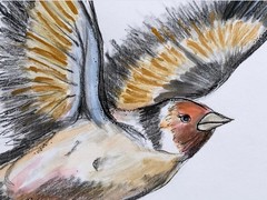 Original Watercolor Goldfinch Painting: Whimsical Bird Nature Art, 8×8 inches