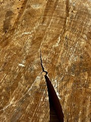 Abstract Hand Painted Natural Live Edge Wood Cut Art Landscape Scene Signed 13”