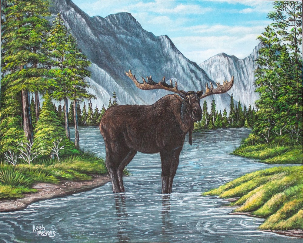 Moose Wildlife Painting of Bull Moose Standing in Lake 16×20 Stretch Canvas