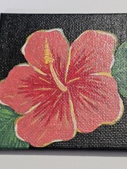 Mini Canvas Painting 3×3 Hibiscus Flower Art Original Acrylic Signed by Artist