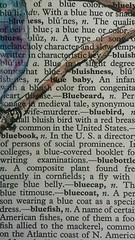 Bluebirds on Old Text – 7 1/2″ X 10 3/4″ -Colored Ink Original Ramfish Artist