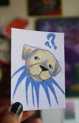 ACEO original art dog illustration 2.5×3.5 colored pencil „Curious Pup“