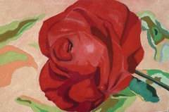 Red Rose Attractive Floral Beautiful Wall Art Decorative Bold Colors Flowers