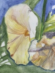 Original Watercolor Painting Black Cat With Flowers Signed Framed READ